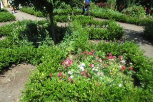 Boston Harbor Islands