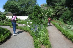 Boston Harbor Islands