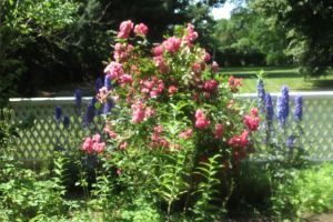 Boston Harbor Islands
