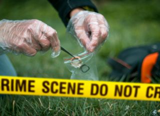 Cropped Hands Collecting Evidence At Crime Scene