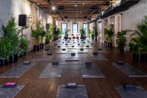 HBO Essence Festival Events Human By Orientation