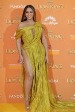 Beyonce and Jay Z attend London Lion King Premiere