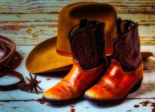 Little Cowboy Boots