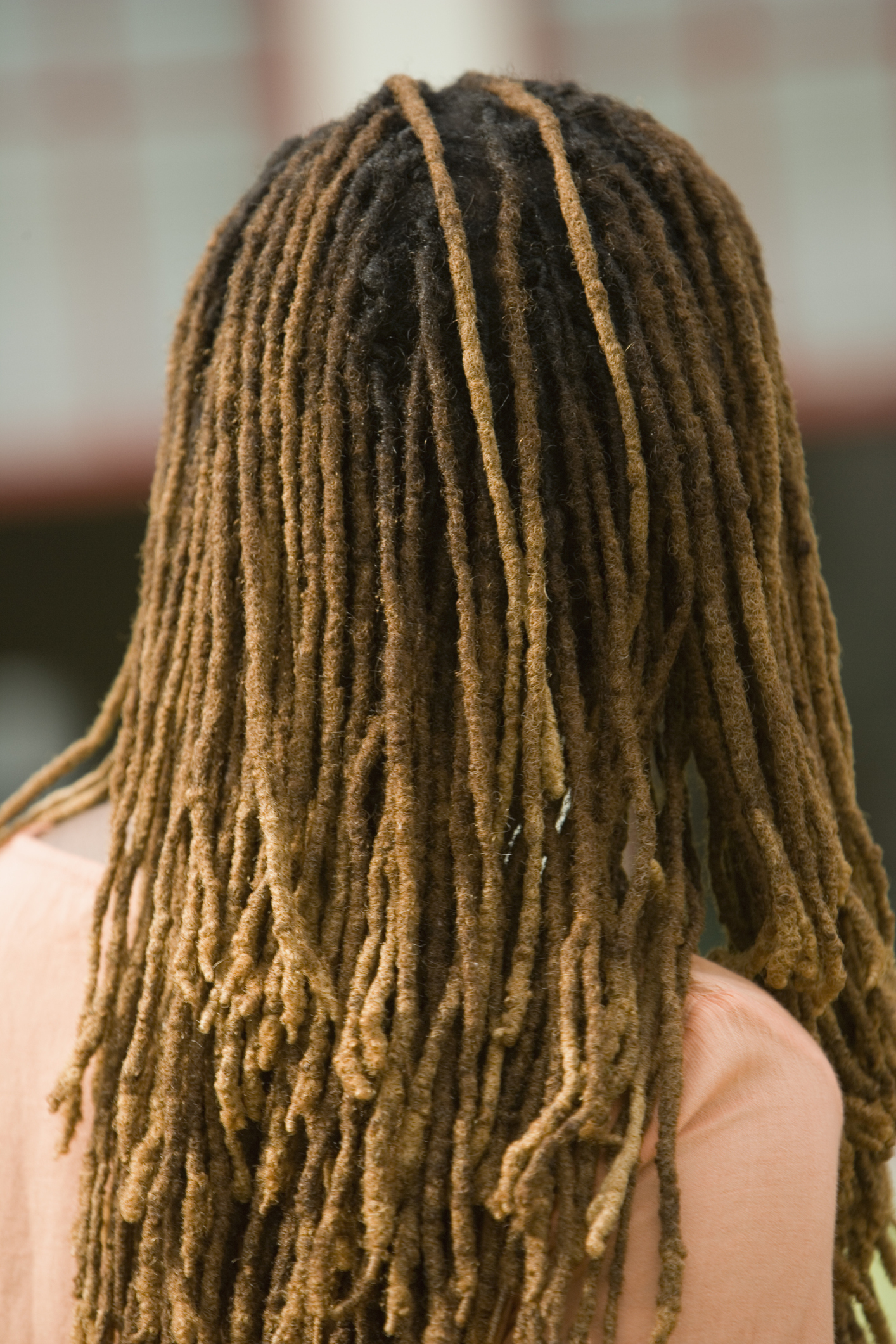Rear view of woman with dreadlocks