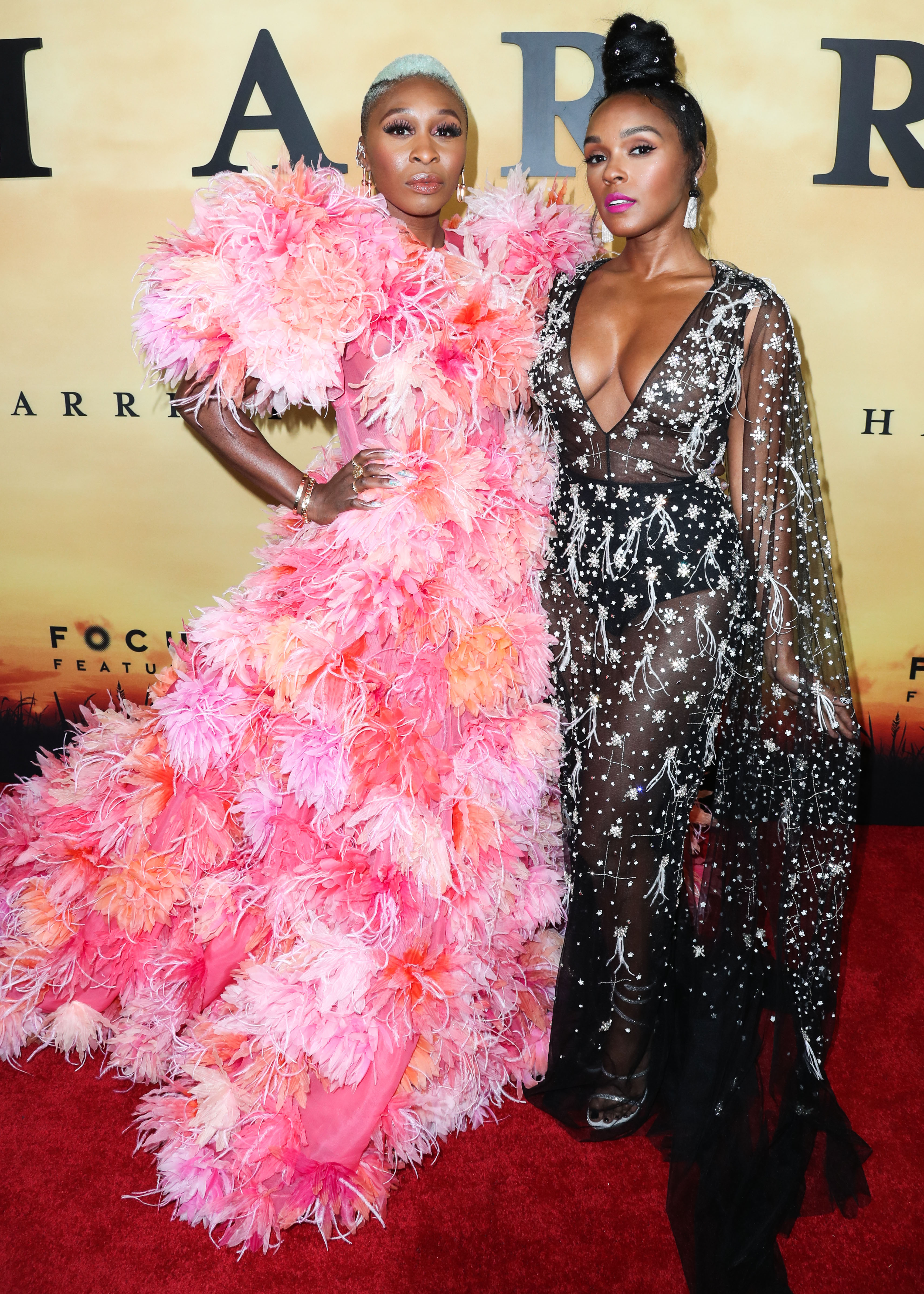 Cynthia Erivo and Janelle Monet attend Focus Features VIP Screening of Harriet