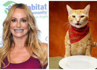 Taylor Armstrong & cat