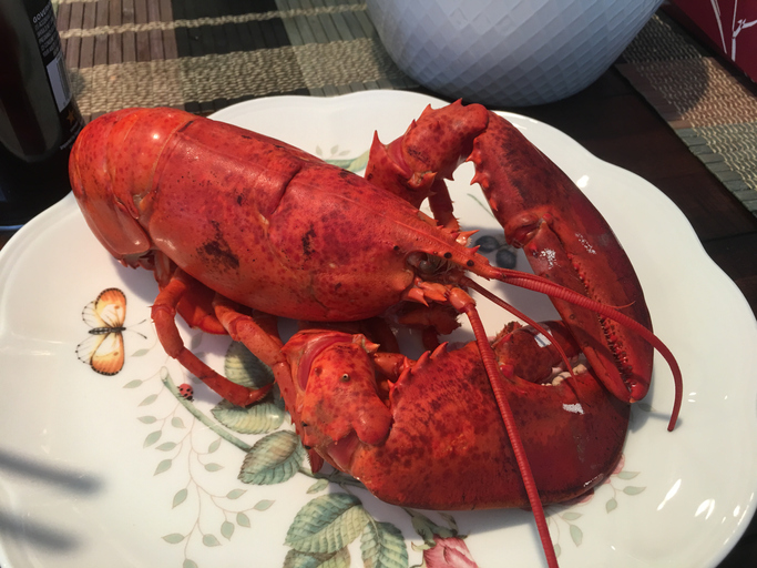 Boiled Lobster