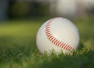 Baseball ball on the green lawn
