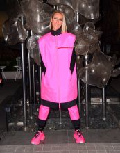 Celine Dion wears hot pink Prada