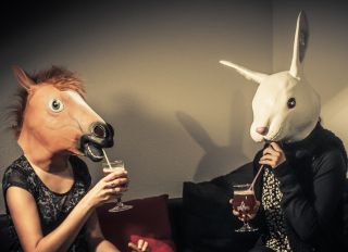 Rabbit and horse drinking together - stock photo