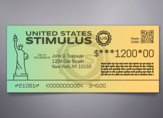 Government Stimulus Check