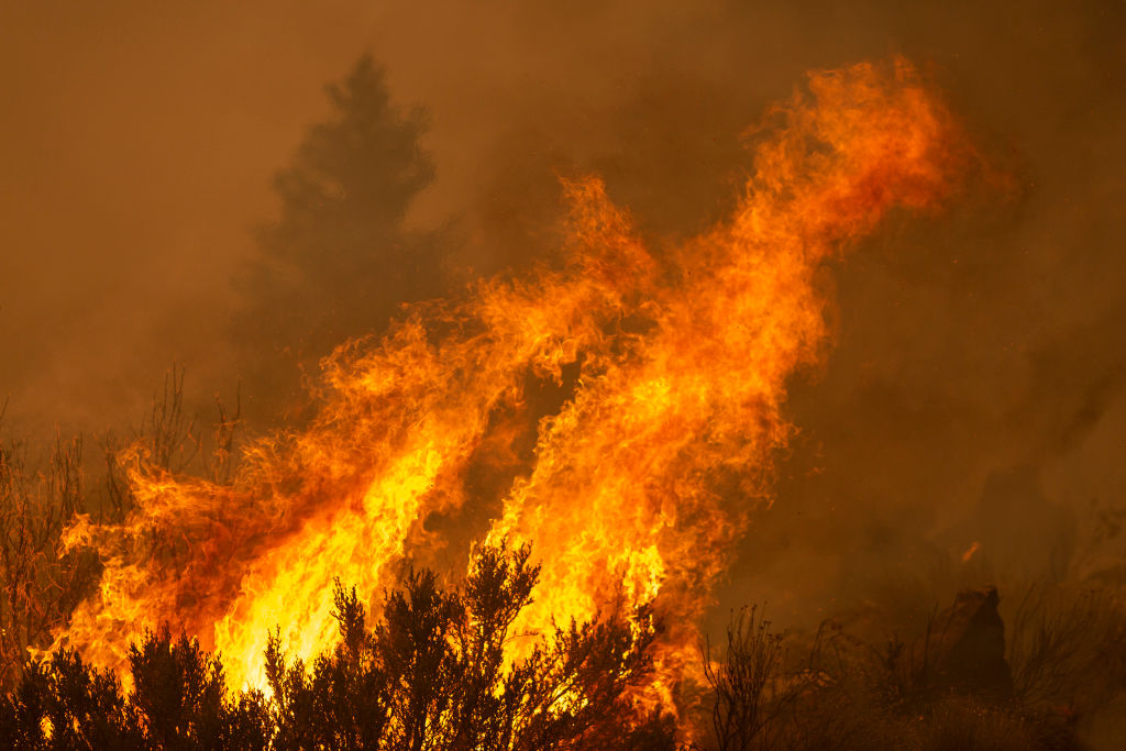 Bobcat Fire Burns East Of Los Angeles