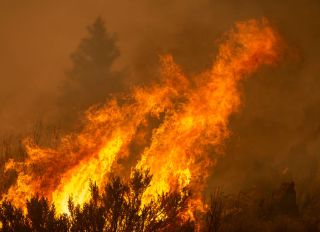 Bobcat Fire Burns East Of Los Angeles