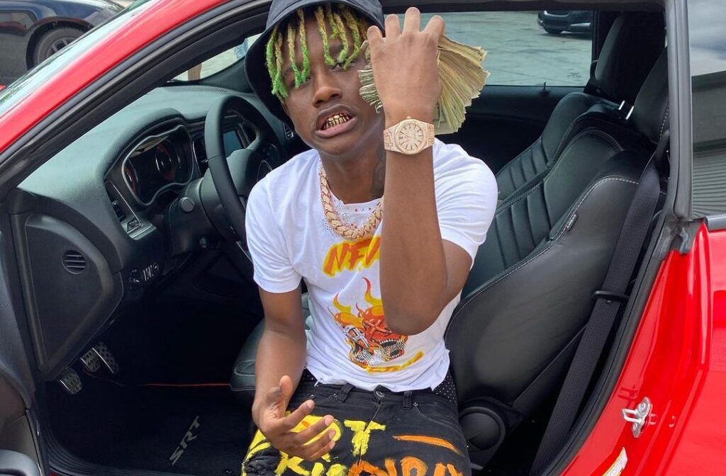 Baby Jungle - The Purge (Remix) assets