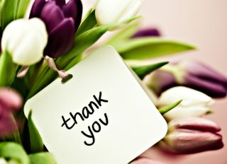 Tulips with Thank You Card