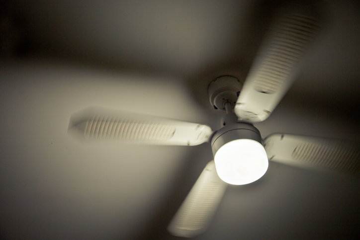 Ceiling fan and light