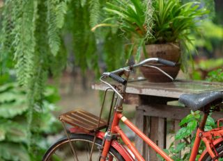 Old vintage bicycle parking in the garden