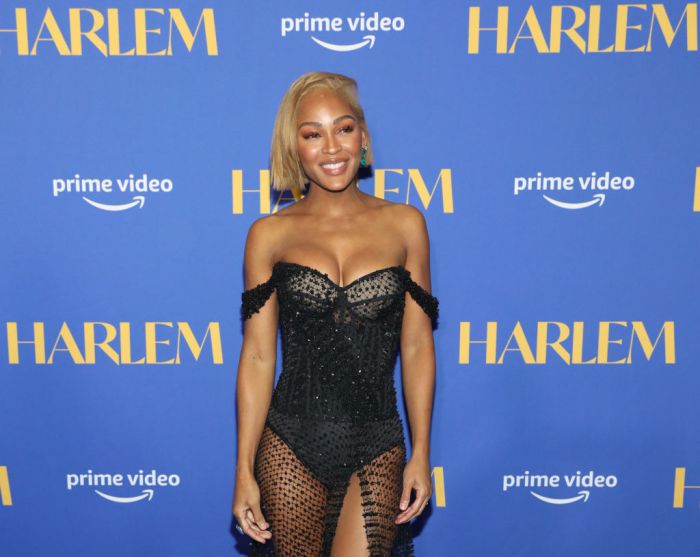 Prime Video's "Harlem" Premiere Screening And After Party