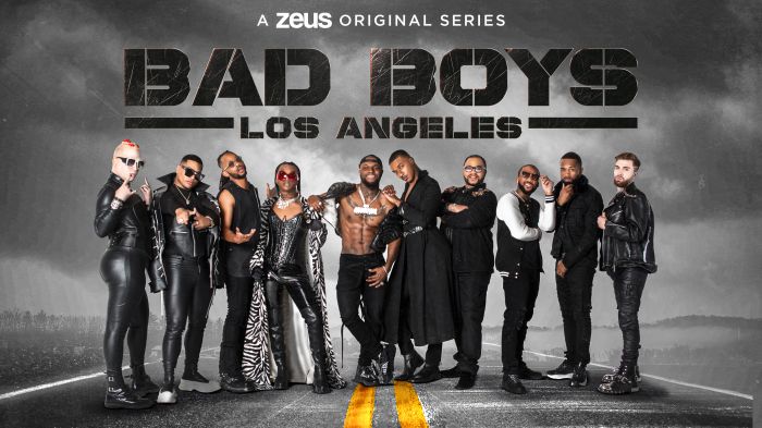 Bad Boys: Los Angeles assets