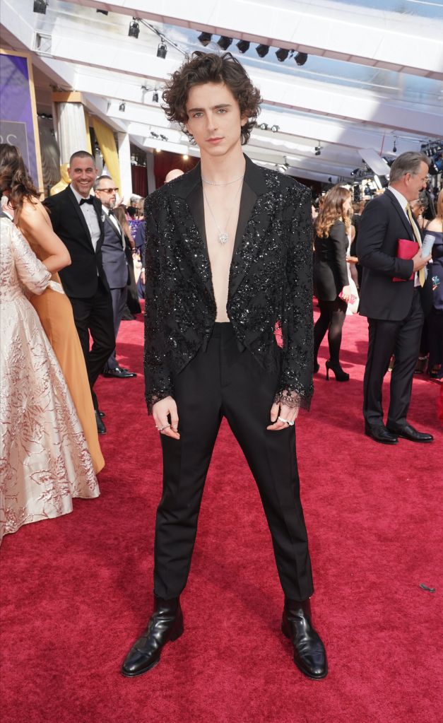 Timothee Chalamet at The OSCARS red carpet arrivals