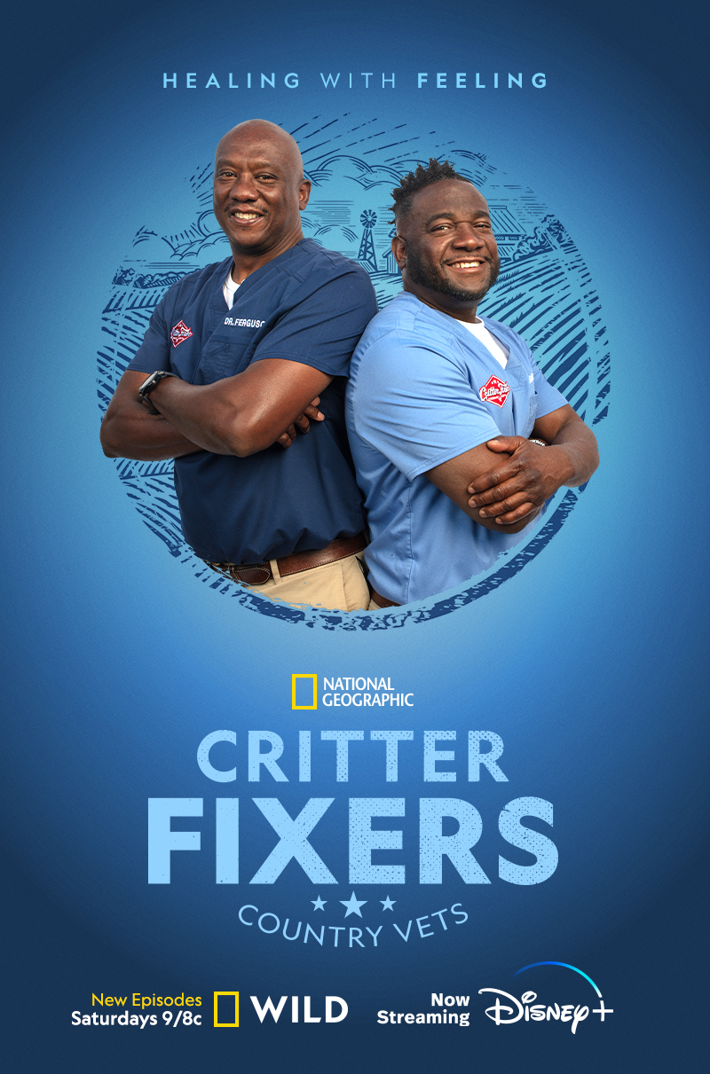 Critter Fixers: Ülke Veterinerleri