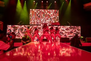 The Last Rose Petal 2… Farewell Tour assets