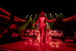 The Last Rose Petal 2… Farewell Tour assets