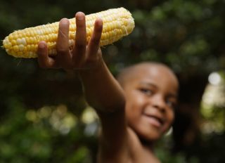 African American boy holding ear of corn