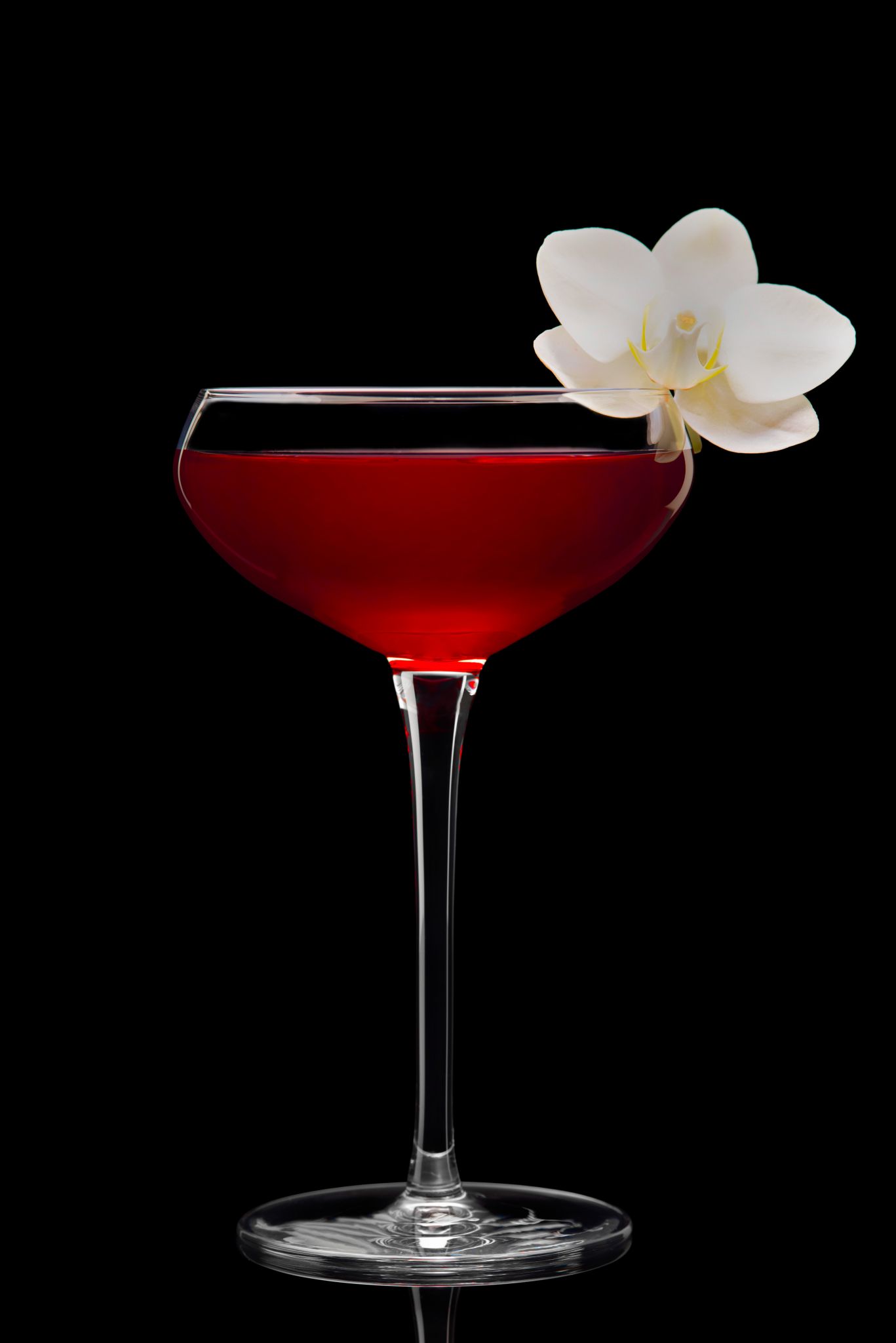 Celebrate Hispanic Heritage Month With DeLeón Premium Recipes