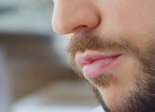Beard and pink lips of young man
