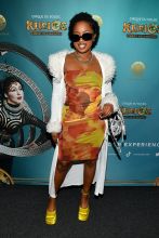 Kurios VIP and atmosphere images