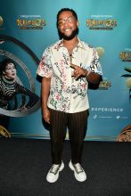 Kurios VIP and atmosphere images