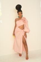 Celebrities at the CFDA awards dinner