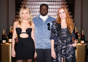 Moët & Chandon Holiday Party assets