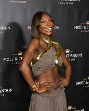 Moët & Chandon Holiday Party assets