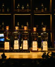 LeBron James birthday bash assets