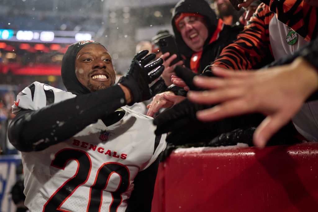 AFC Divisional Playoffs - Cincinnati Bengals v Buffalo Bills