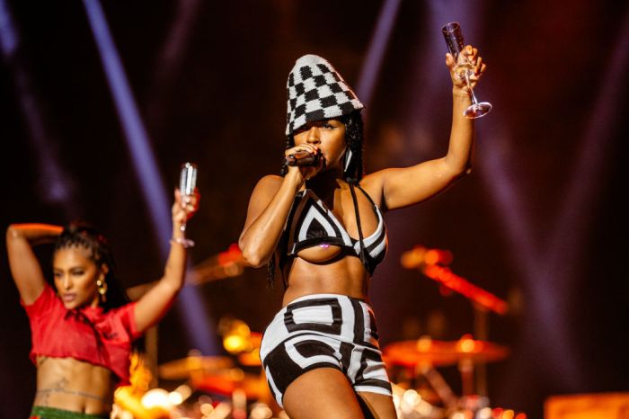 Janelle Monáe Flashes Breast At Essence Music Festival Show