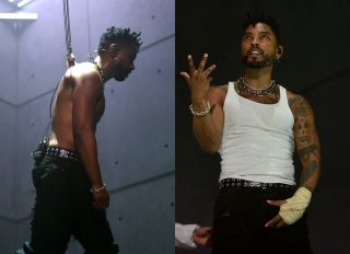 Miguel suspended at Viscera Experience