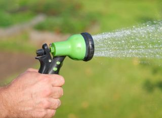 Gardener with a watering hose. Person spraying green grass lawn with hose sprayer. Irrigation with water, sunny day. Garden sprinkler in action. Landscaping. Gardening, waters, growing and plants care