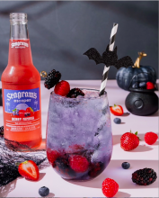 Cynthia Bailey Segrams