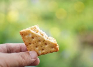hand holding Biscuits cracker