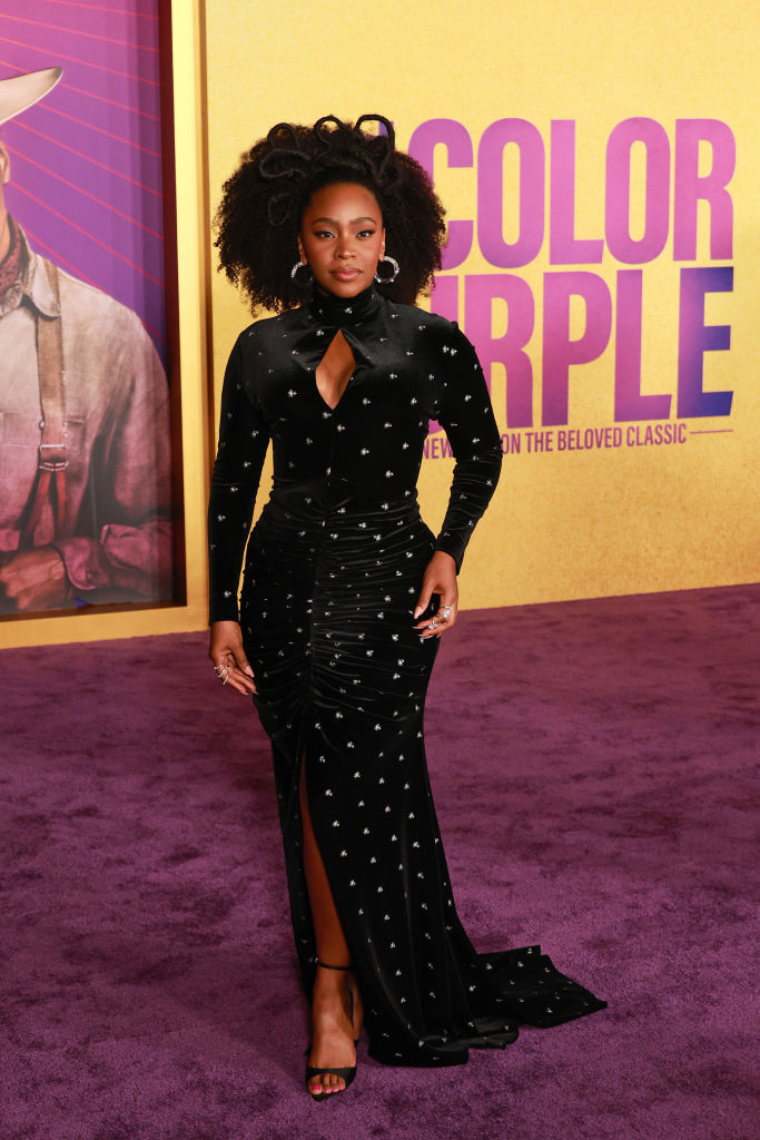 World Premiere Of Warner Bros.' "The Color Purple" - Arrivals