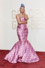 81st Annual Golden Globe Awards - Red Carpet