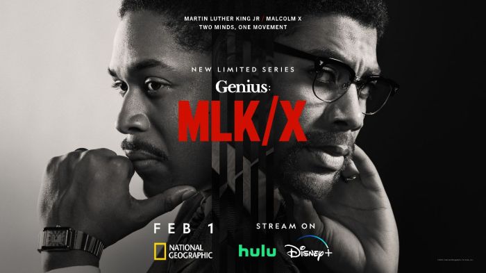 Genius: MLK/X assets
