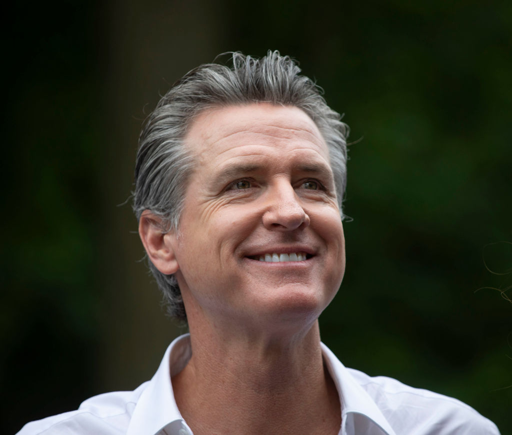California Governor Newsom Campaigns For President Biden In Michigan