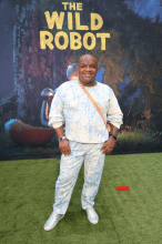 The Wild Robot