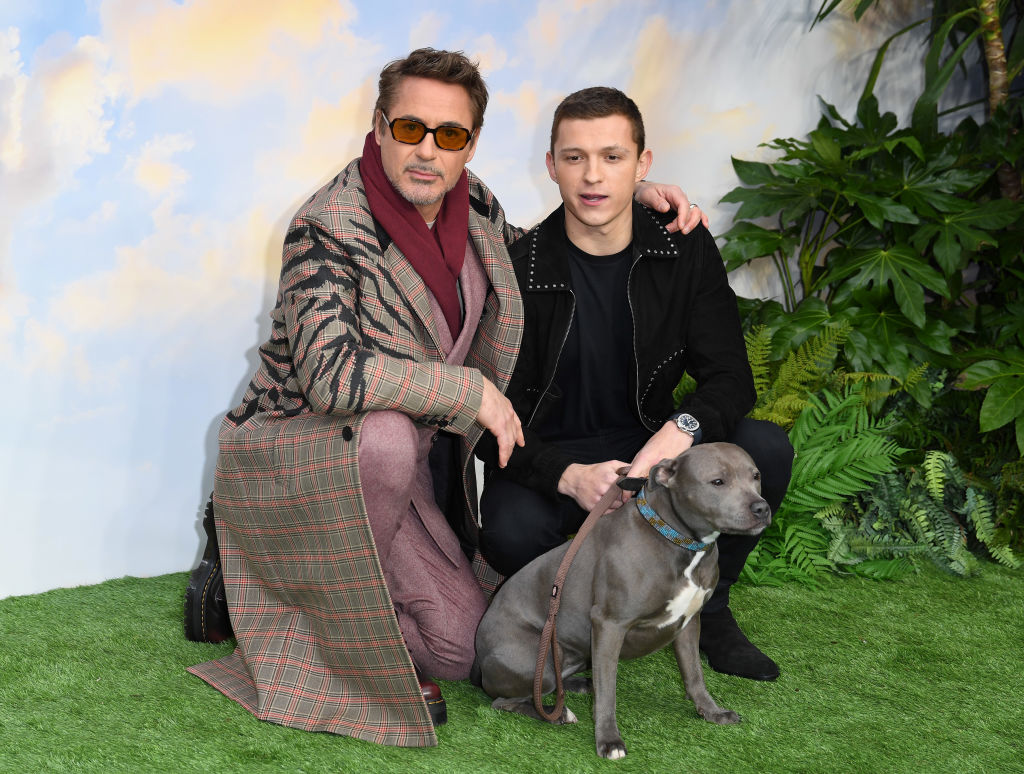 "Dolittle" Special Screening - Red Carpet Arrivals
