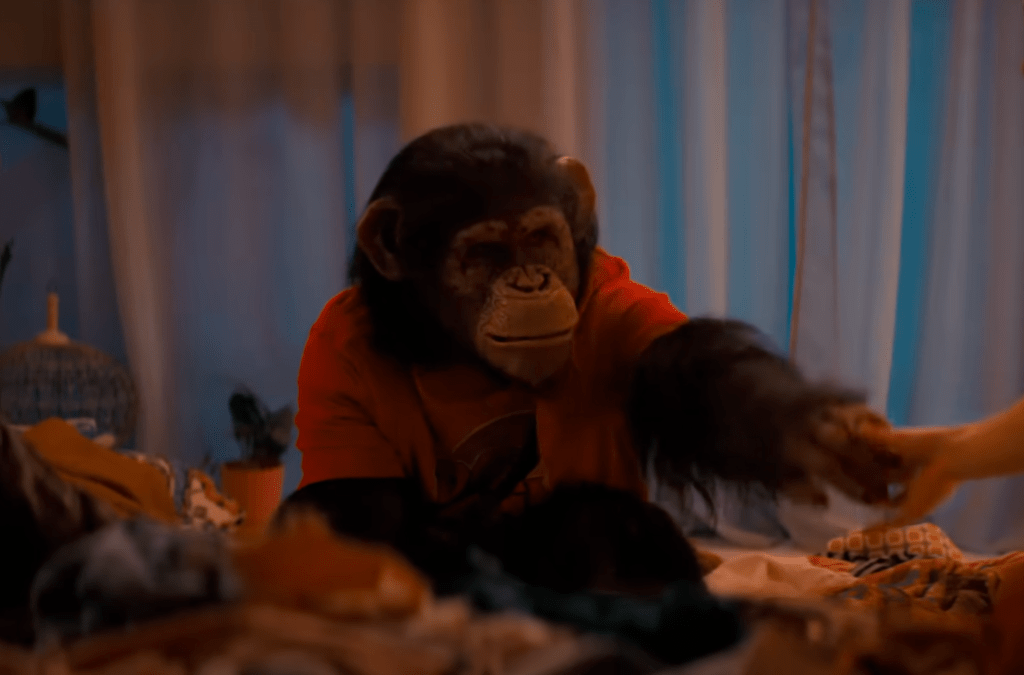 Primate asset