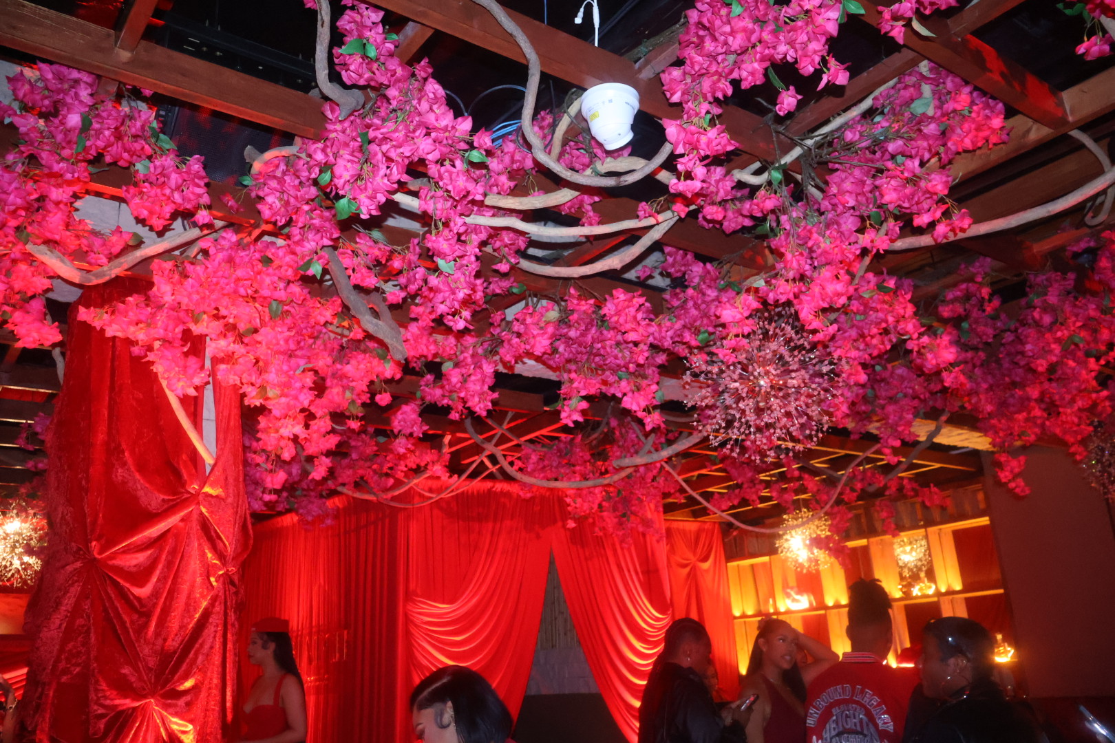 Ari Fletcher Galentine's